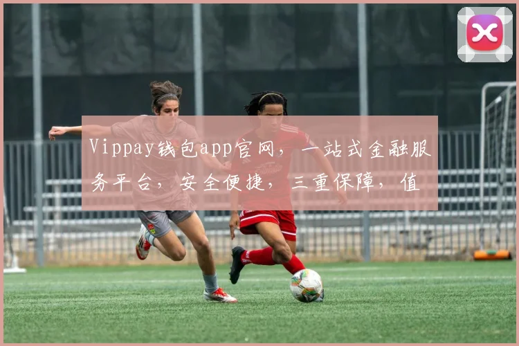 Vippay钱包app官网，一站式金融服务平台，安全便捷，三重保障，值得信赖，体验非凡