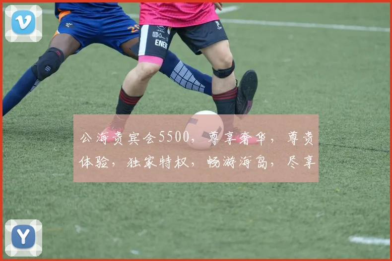 公海贵宾会5500，尊享奢华，尊贵体验，独家特权，畅游海岛，尽享人生
