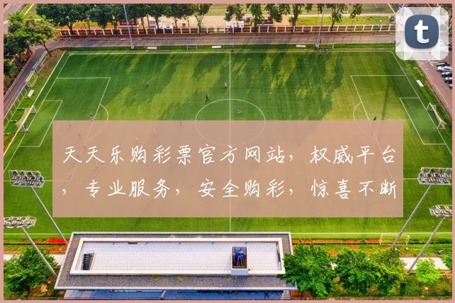 天天乐购彩票官方网站，权威平台，专业服务，安全购彩，惊喜不断，尽享快乐