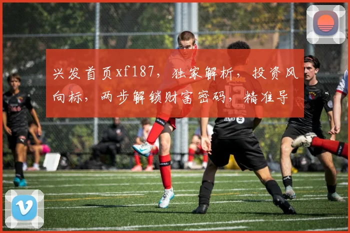 兴发首页xf187，独家解析，投资风向标，两步解锁财富密码，精准导航